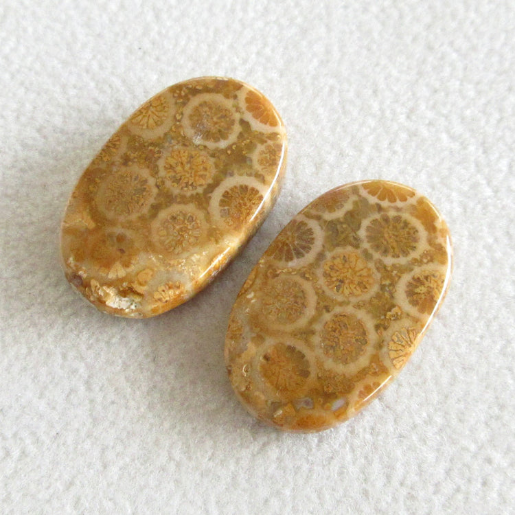 フォッシルコーラル 天然石ルースペア