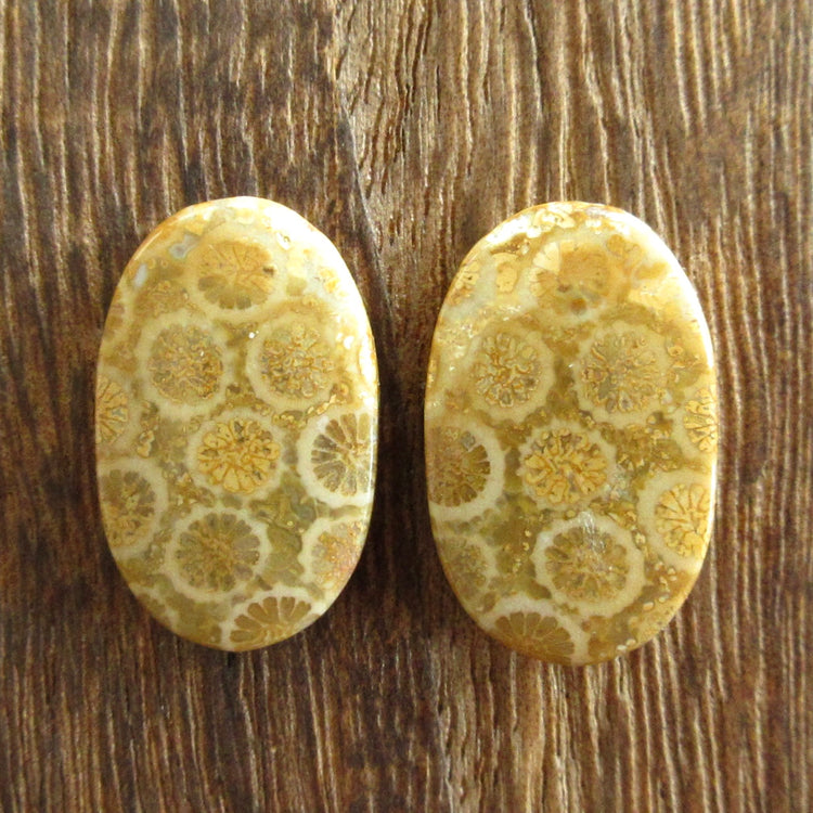 フォッシルコーラル 天然石ルースペア