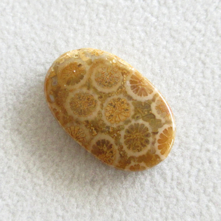 フォッシルコーラル 天然石ルースペア