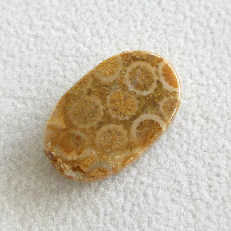 フォッシルコーラル 天然石ルースペア