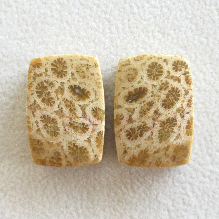 フォッシルコーラル 天然石ルースペア