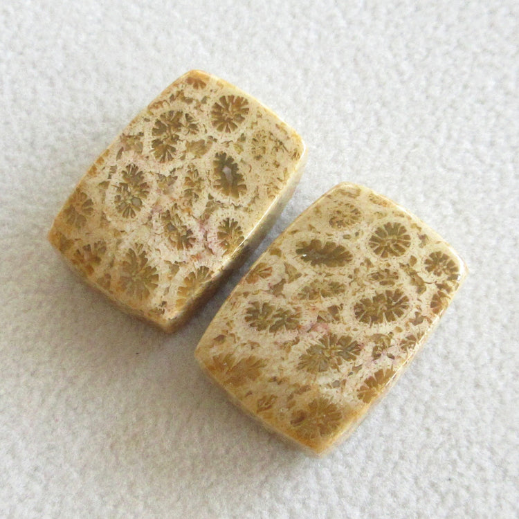 フォッシルコーラル 天然石ルースペア