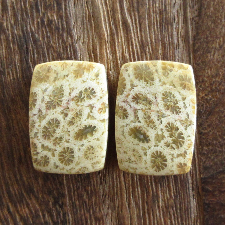 フォッシルコーラル 天然石ルースペア