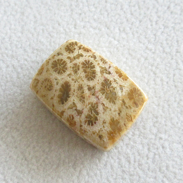 フォッシルコーラル 天然石ルースペア