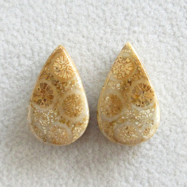 フォッシルコーラル 天然石ルースペア