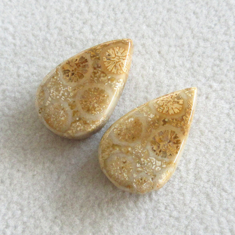 フォッシルコーラル 天然石ルースペア