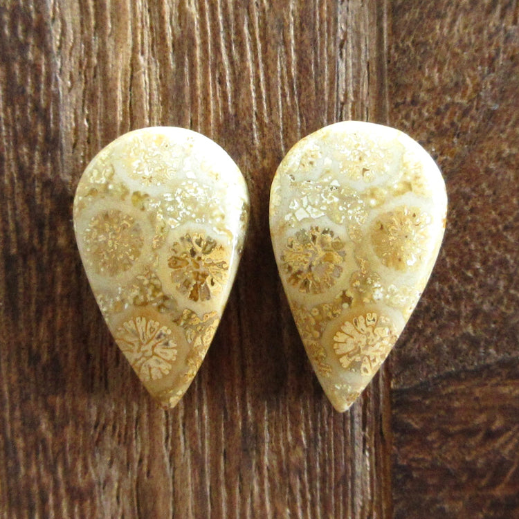 フォッシルコーラル 天然石ルースペア