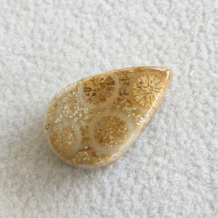 フォッシルコーラル 天然石ルースペア