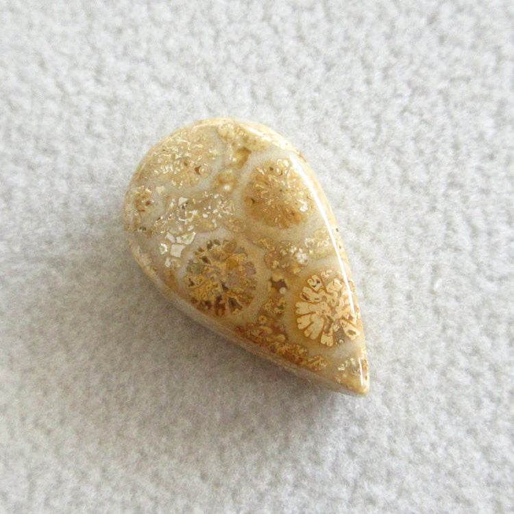 フォッシルコーラル 天然石ルースペア