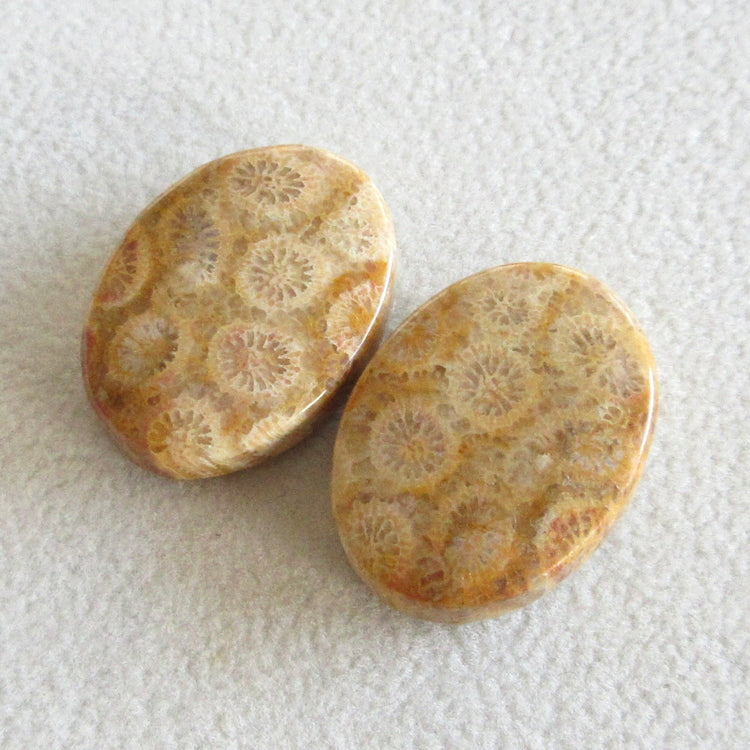 フォッシルコーラル 天然石ルースペア