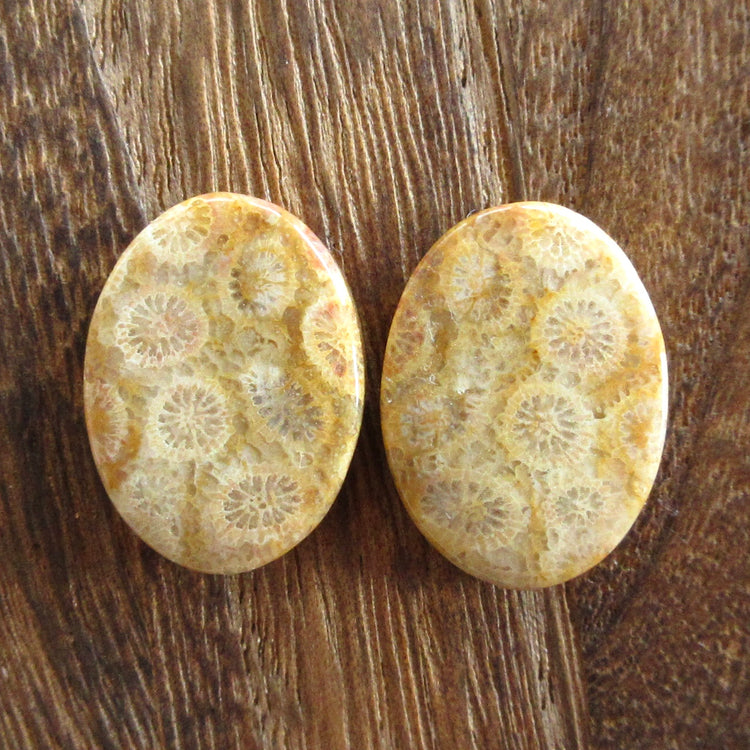 フォッシルコーラル 天然石ルースペア