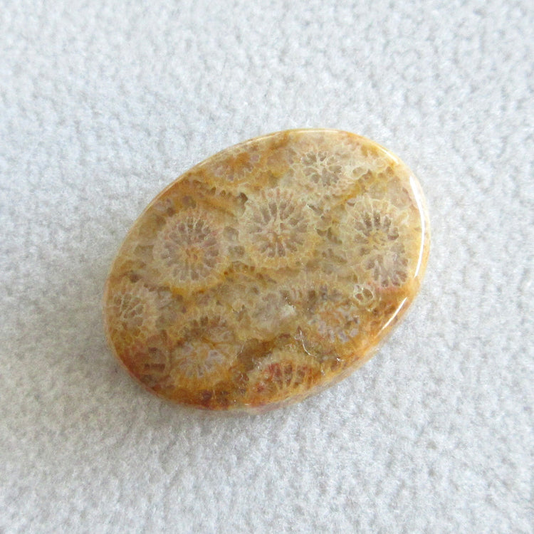 フォッシルコーラル 天然石ルースペア