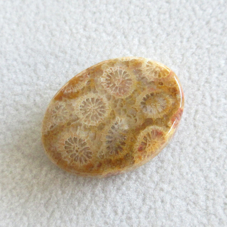 フォッシルコーラル 天然石ルースペア