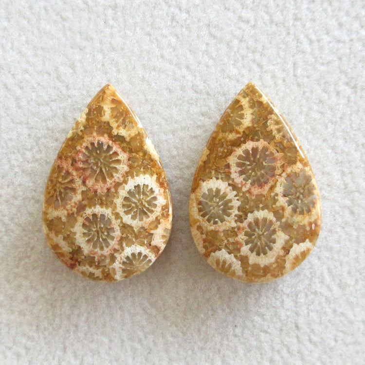 フォッシルコーラル 天然石ルースペア