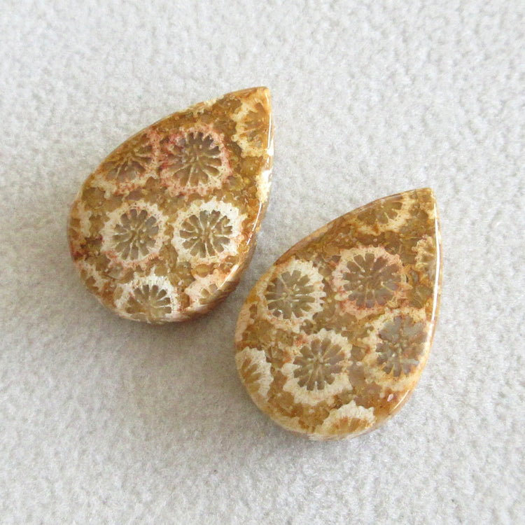 フォッシルコーラル 天然石ルースペア