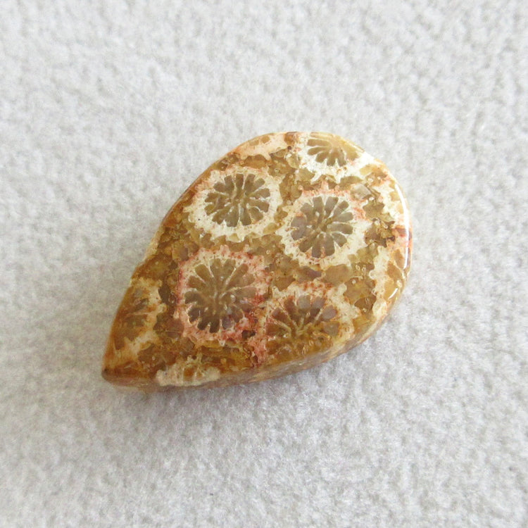 フォッシルコーラル 天然石ルースペア