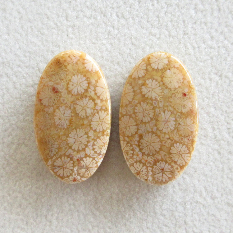 フォッシルコーラル 天然石ルースペア