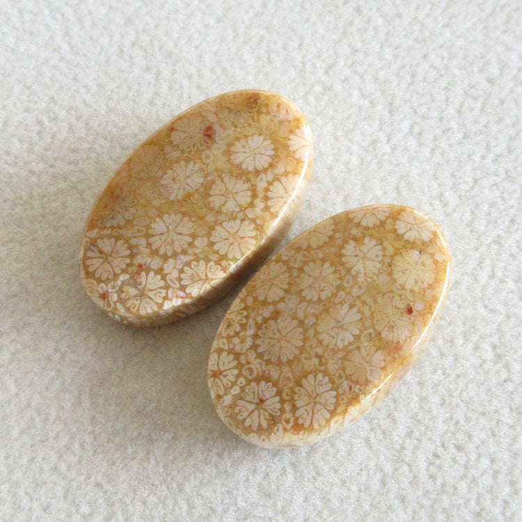 フォッシルコーラル 天然石ルースペア