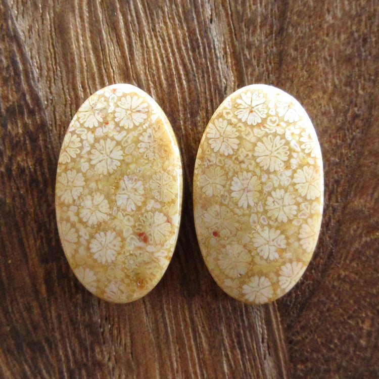 フォッシルコーラル 天然石ルースペア