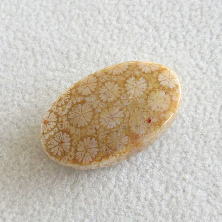 フォッシルコーラル 天然石ルースペア