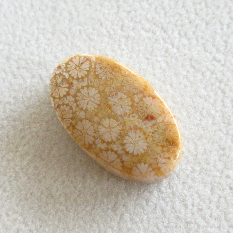 フォッシルコーラル 天然石ルースペア