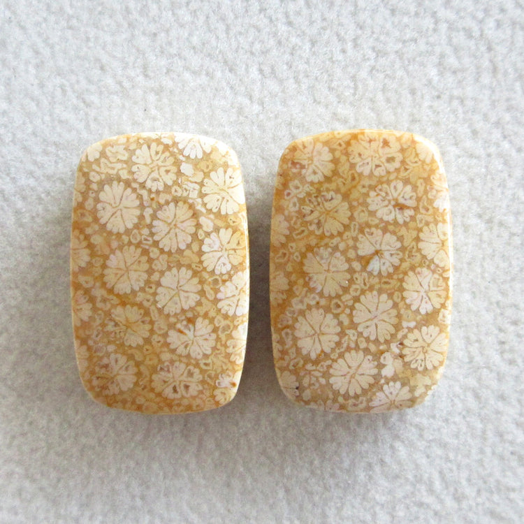 フォッシルコーラル 天然石ルースペア