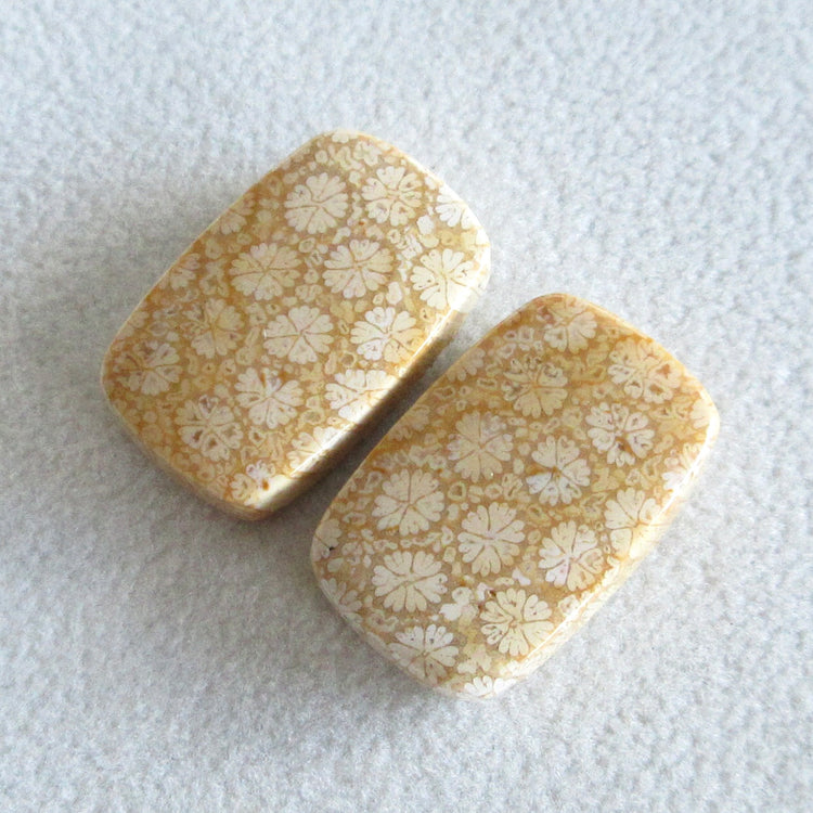 フォッシルコーラル 天然石ルースペア