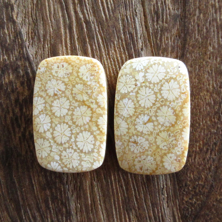 フォッシルコーラル 天然石ルースペア