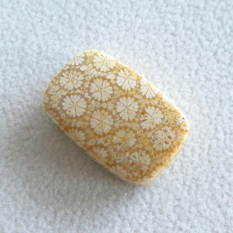 フォッシルコーラル 天然石ルースペア