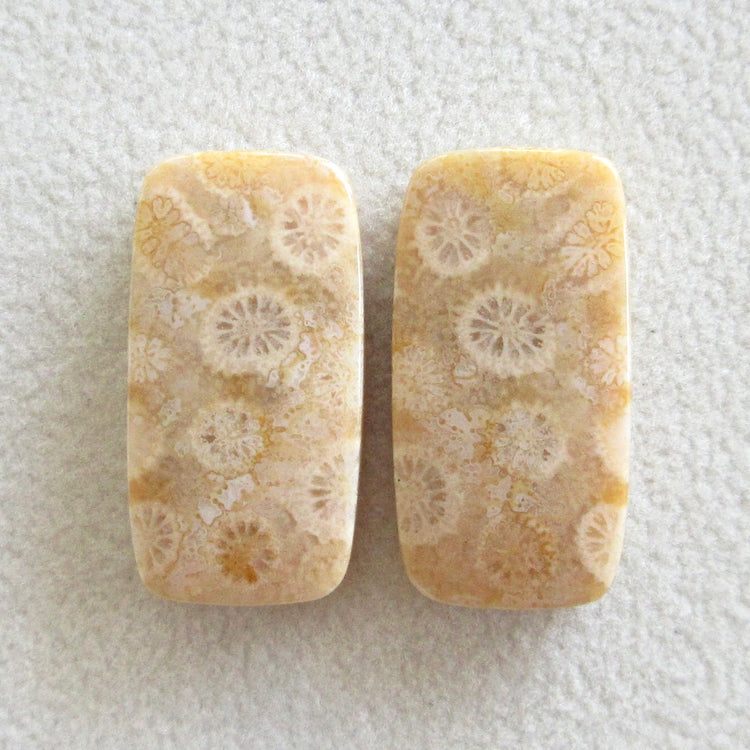 フォッシルコーラル 天然石ルースペア