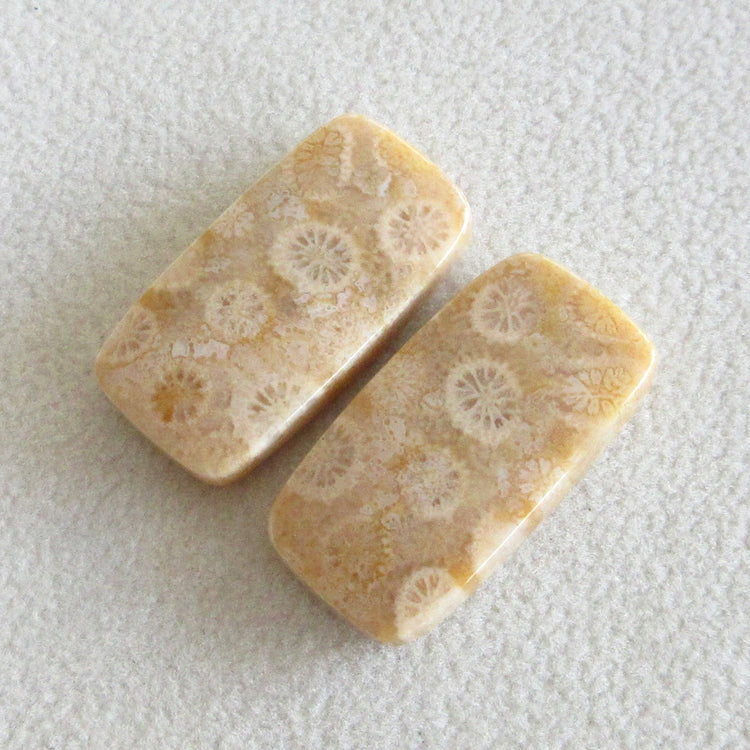 フォッシルコーラル 天然石ルースペア