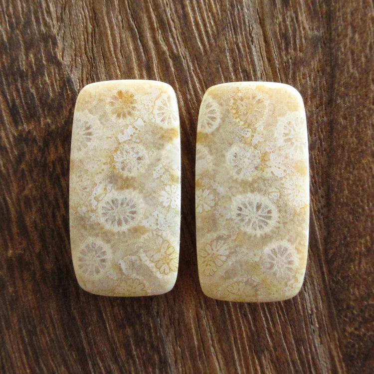 フォッシルコーラル 天然石ルースペア