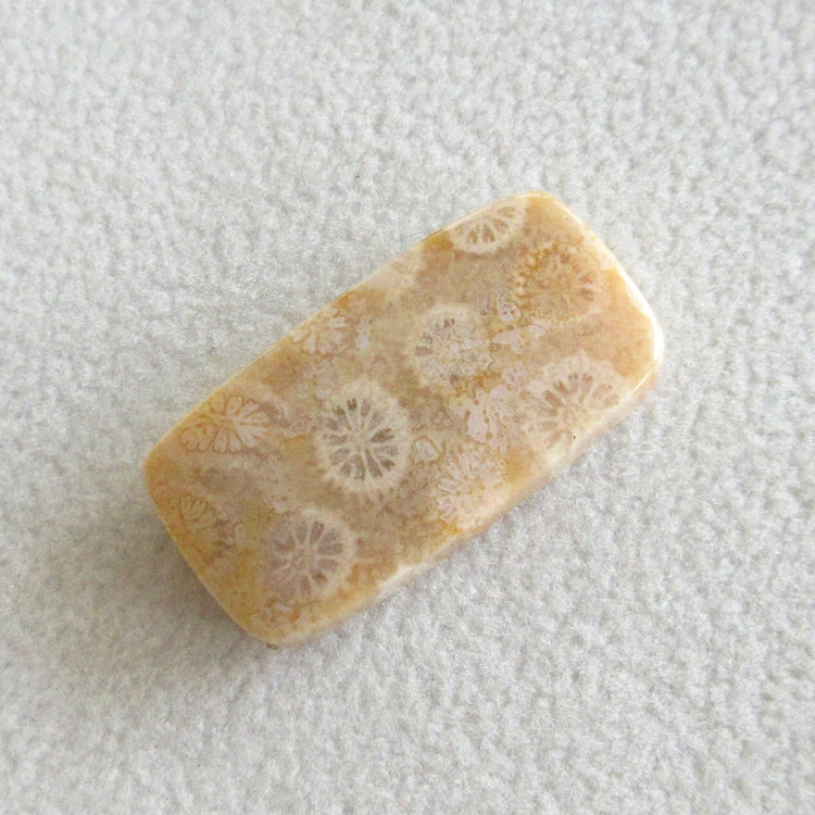 フォッシルコーラル 天然石ルースペア