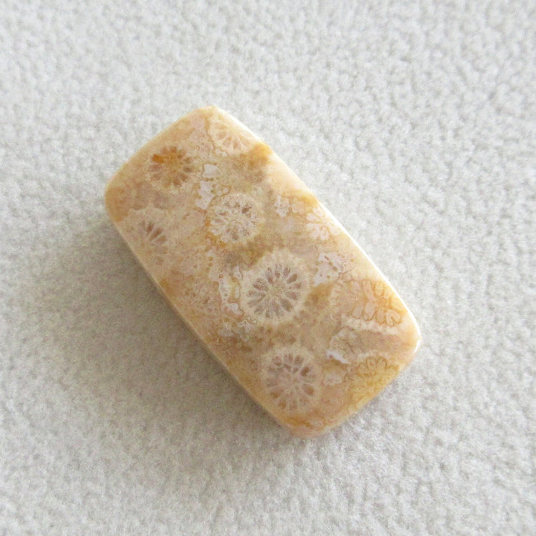 フォッシルコーラル 天然石ルースペア