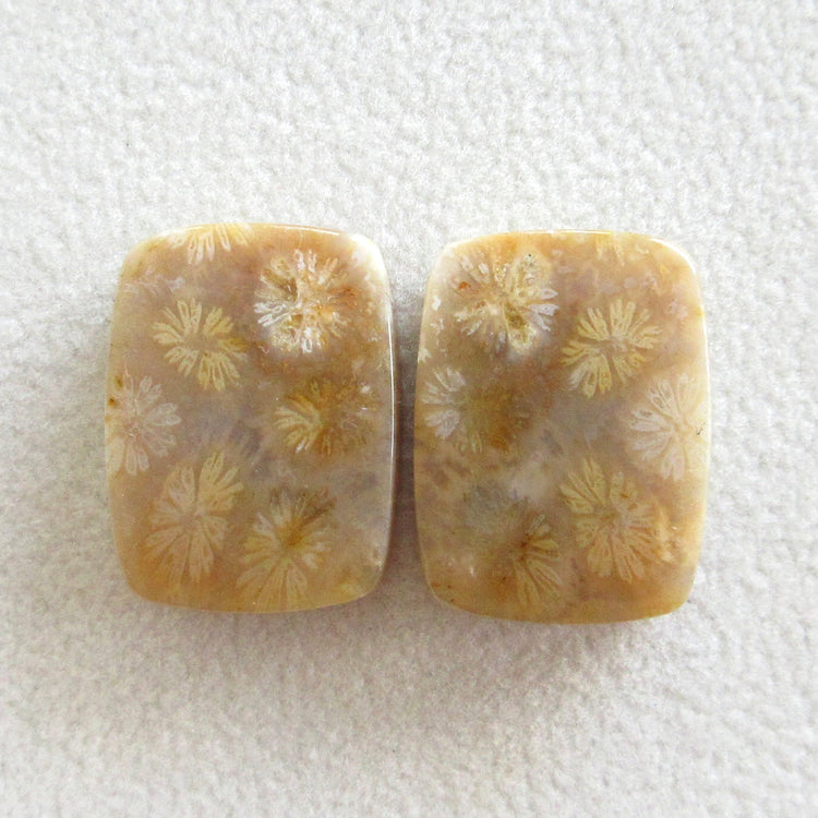 フォッシルコーラル 天然石ルースペア