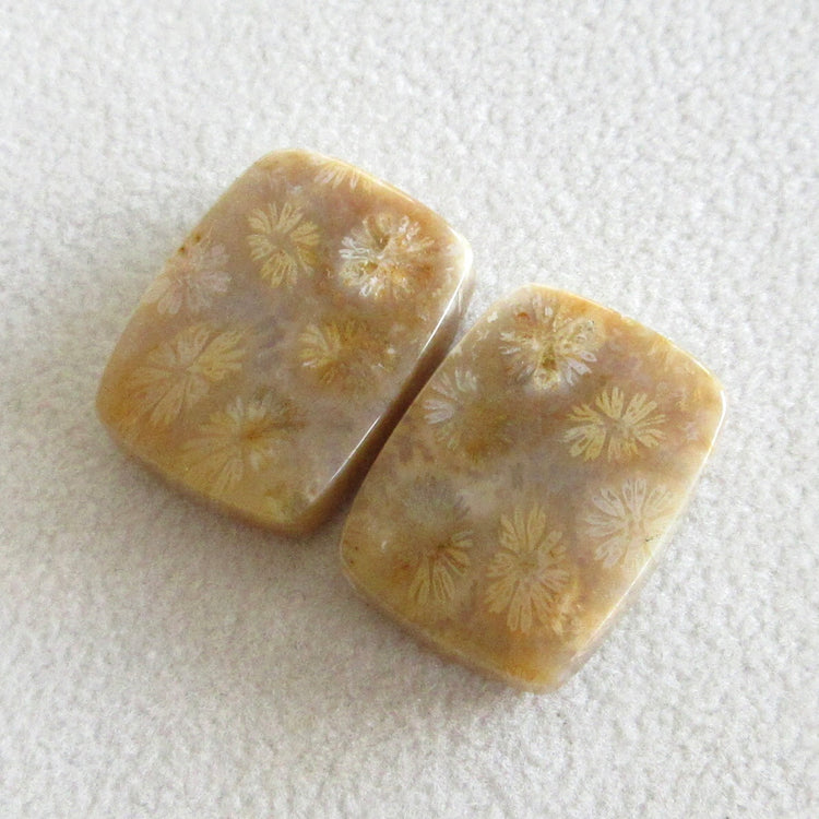 フォッシルコーラル 天然石ルースペア