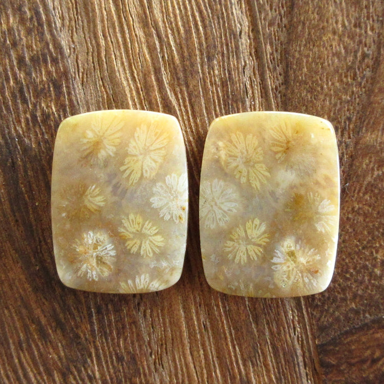 フォッシルコーラル 天然石ルースペア