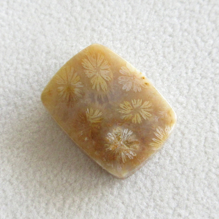 フォッシルコーラル 天然石ルースペア