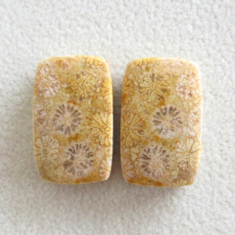 フォッシルコーラル 天然石ルースペア