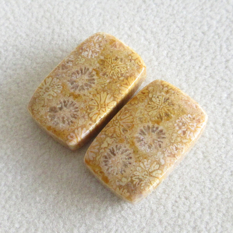 フォッシルコーラル 天然石ルースペア