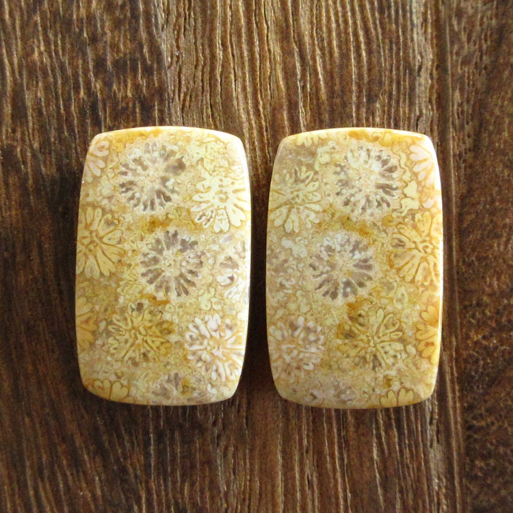 フォッシルコーラル 天然石ルースペア