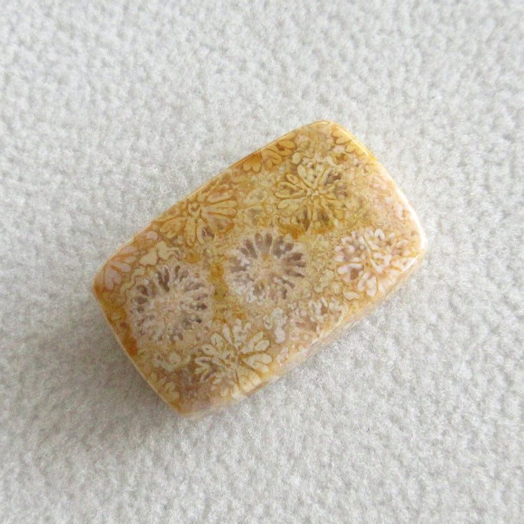 フォッシルコーラル 天然石ルースペア