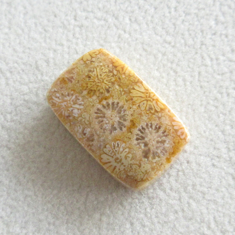 フォッシルコーラル 天然石ルースペア