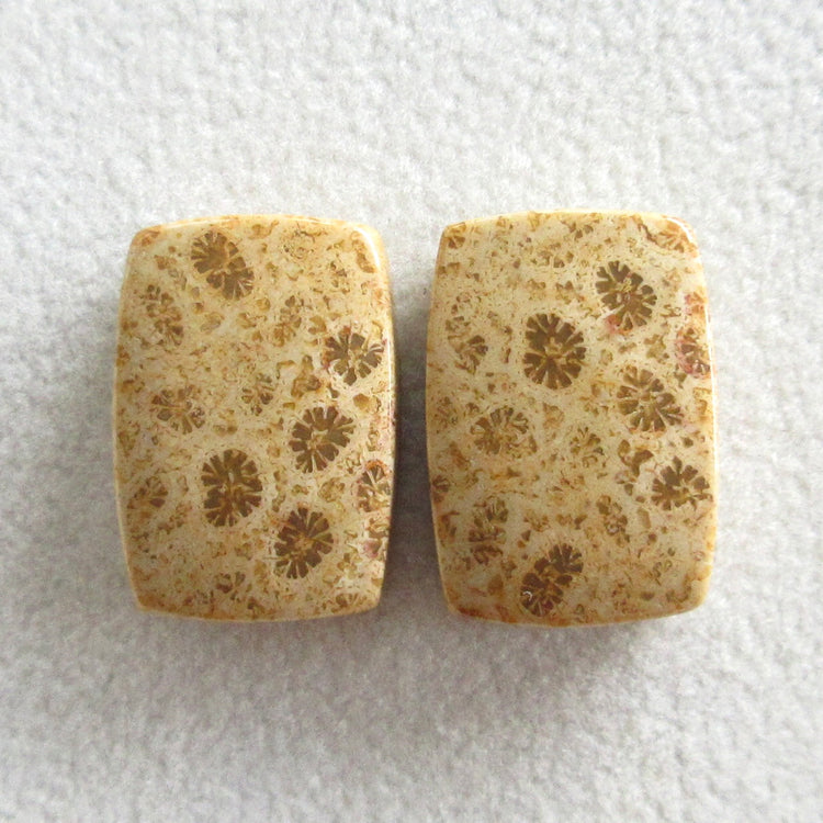 フォッシルコーラル 天然石ルースペア