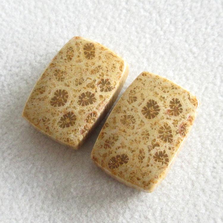 フォッシルコーラル 天然石ルースペア