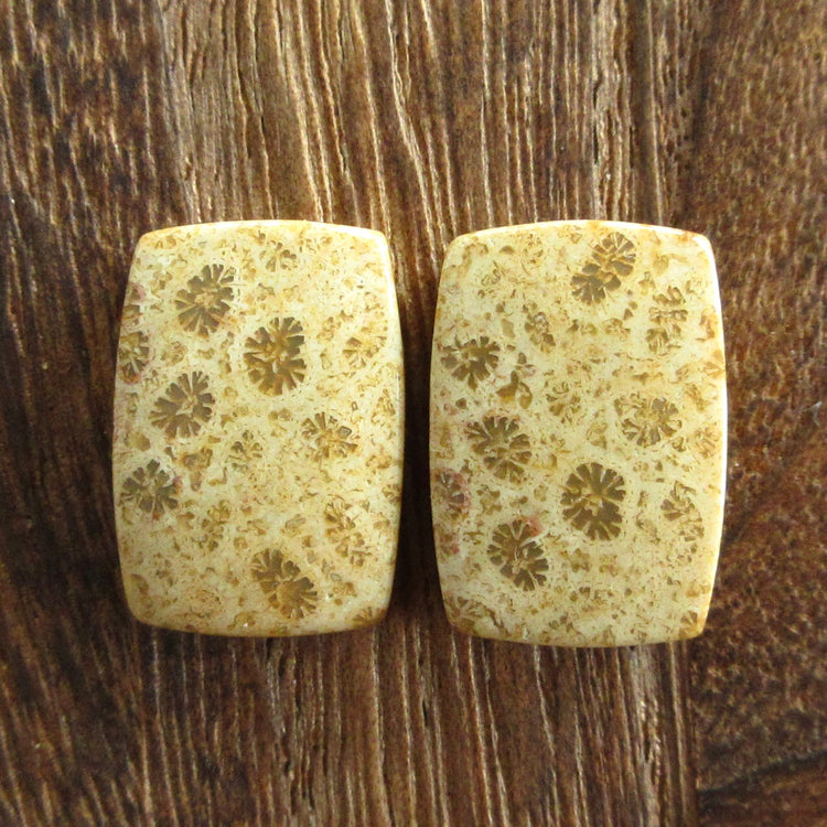 フォッシルコーラル 天然石ルースペア