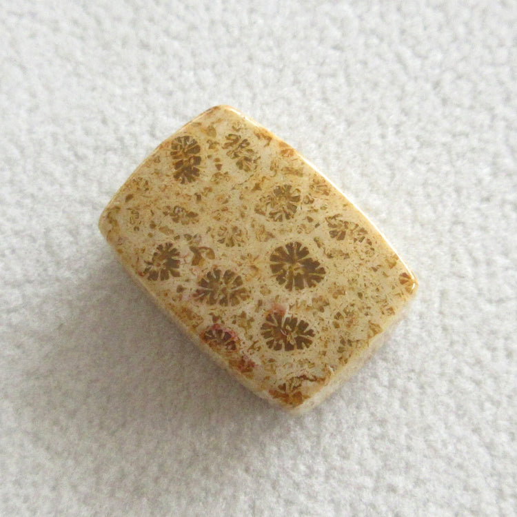 フォッシルコーラル 天然石ルースペア