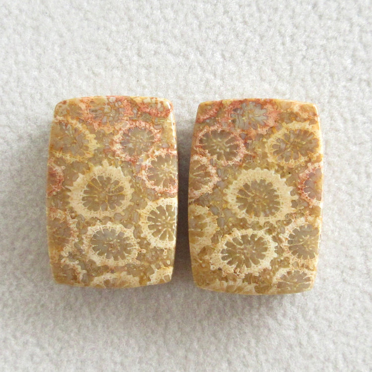 フォッシルコーラル 天然石ルースペア