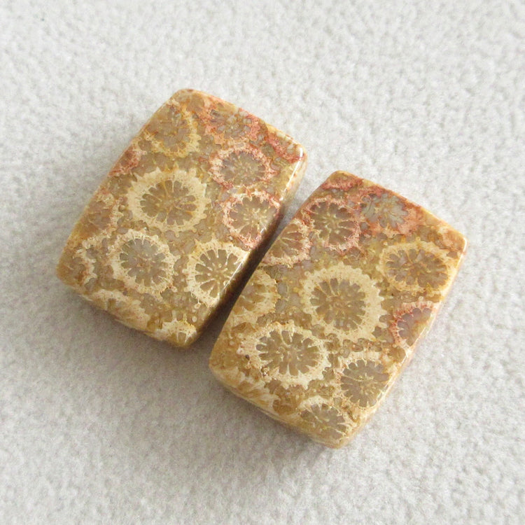 フォッシルコーラル 天然石ルースペア