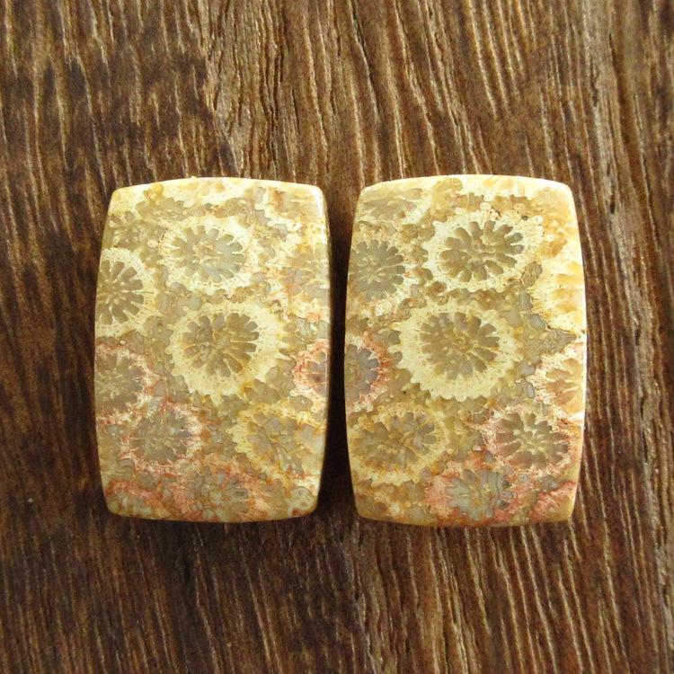 フォッシルコーラル 天然石ルースペア